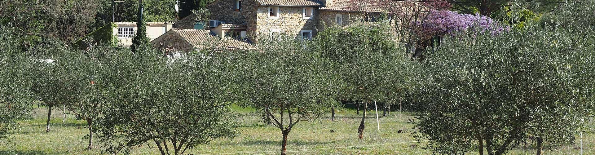 Vente huile d'olive au Mas Bel Espérance - Moulin Saint André à Saint André d'Olérargues