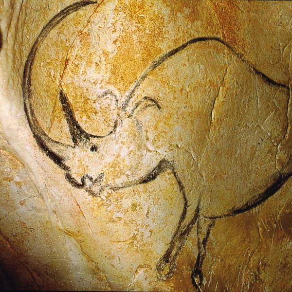 Grotte Chauvet