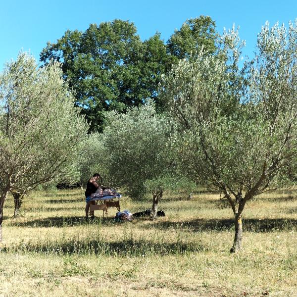 Evénement privatisation maison d'hôtes